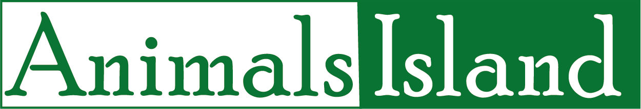Animals island